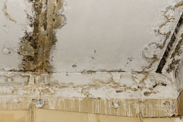 Water damage restoration process in Metuchen, NJ